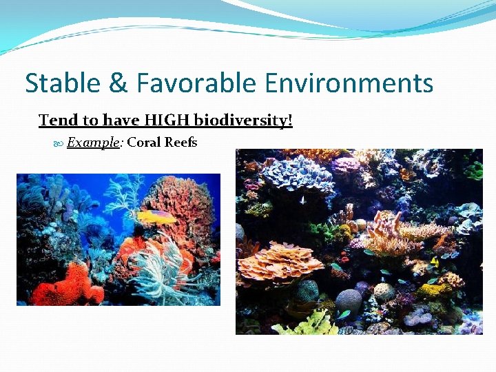 Stable & Favorable Environments Tend to have HIGH biodiversity! Example: Coral Reefs 