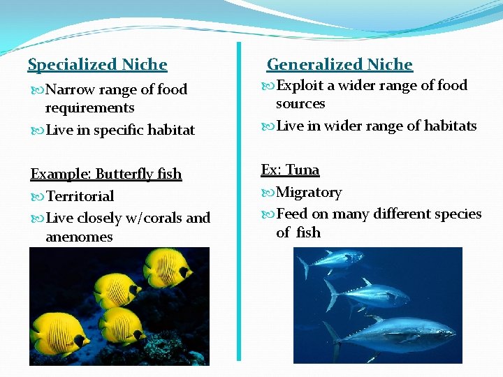 Specialized Niche Generalized Niche Narrow range of food requirements Live in specific habitat Exploit