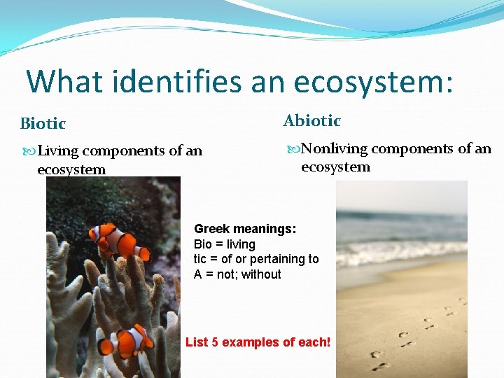 What identifies an ecosystem: Biotic Abiotic Living components of an ecosystem Nonliving components of