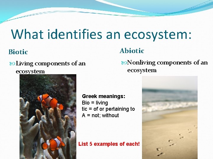What identifies an ecosystem: Biotic Abiotic Living components of an ecosystem Nonliving components of What identifies an ecosystem: Biotic Abiotic Living components of an ecosystem Nonliving components of
