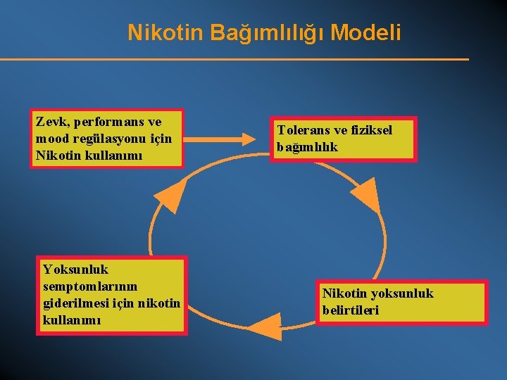 Nikotin Bağımlılığı Modeli Zevk, performans ve mood regülasyonu için Nikotin kullanımı Yoksunluk semptomlarının giderilmesi