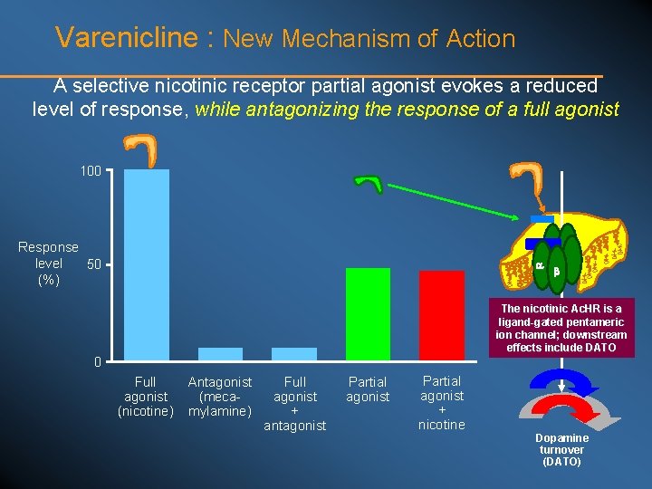 Varenicline : New Mechanism of Action A selective nicotinic receptor partial agonist evokes a