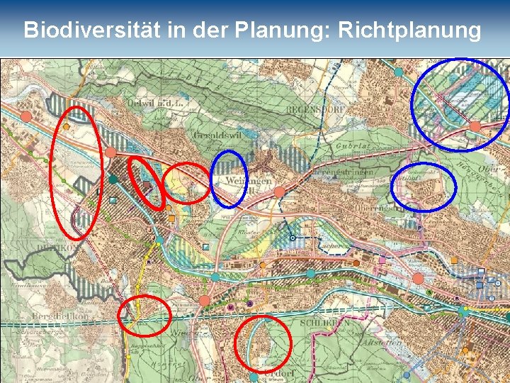 Biodiversität in der Planung: Richtplanung 