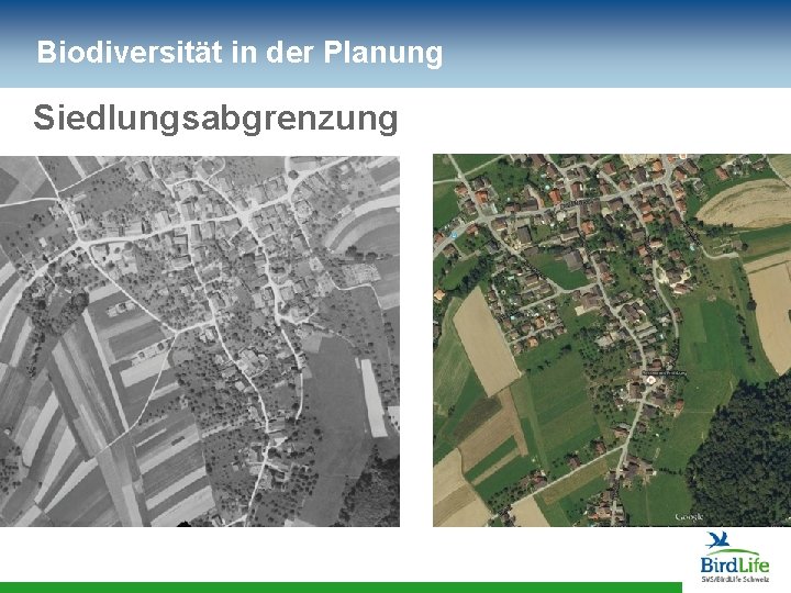 Biodiversität in der Planung Siedlungsabgrenzung 