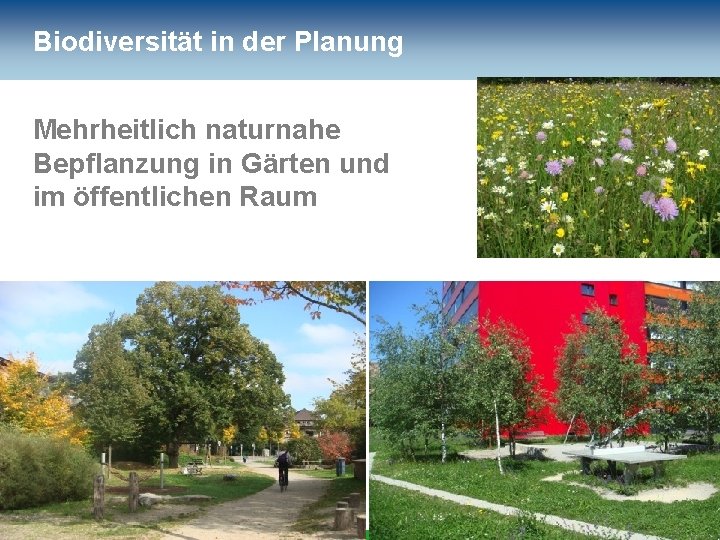 Biodiversität in der Planung Mehrheitlich naturnahe Bepflanzung in Gärten und im öffentlichen Raum 