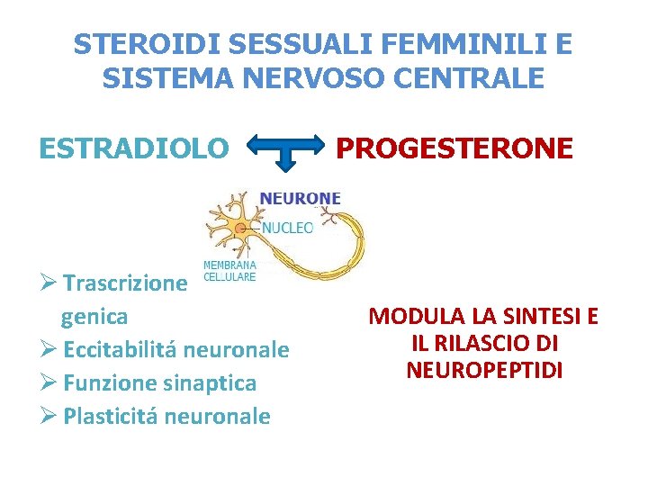 STEROIDI SESSUALI FEMMINILI E SISTEMA NERVOSO CENTRALE ESTRADIOLO Ø Trascrizione genica Ø Eccitabilitá neuronale