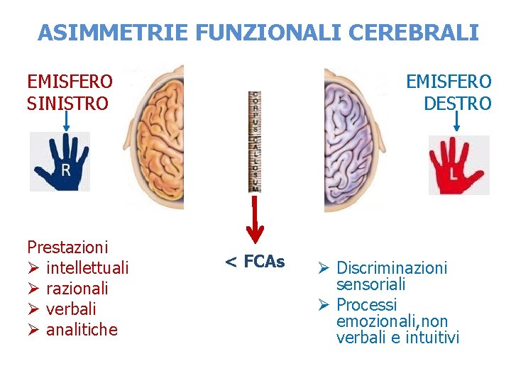 ASIMMETRIE FUNZIONALI CEREBRALI EMISFERO DESTRO EMISFERO SINISTRO Prestazioni Ø intellettuali Ø razionali Ø verbali