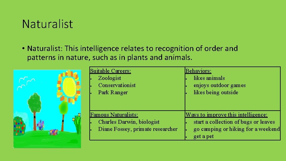 Naturalist • Naturalist: This intelligence relates to recognition of order and patterns in nature,
