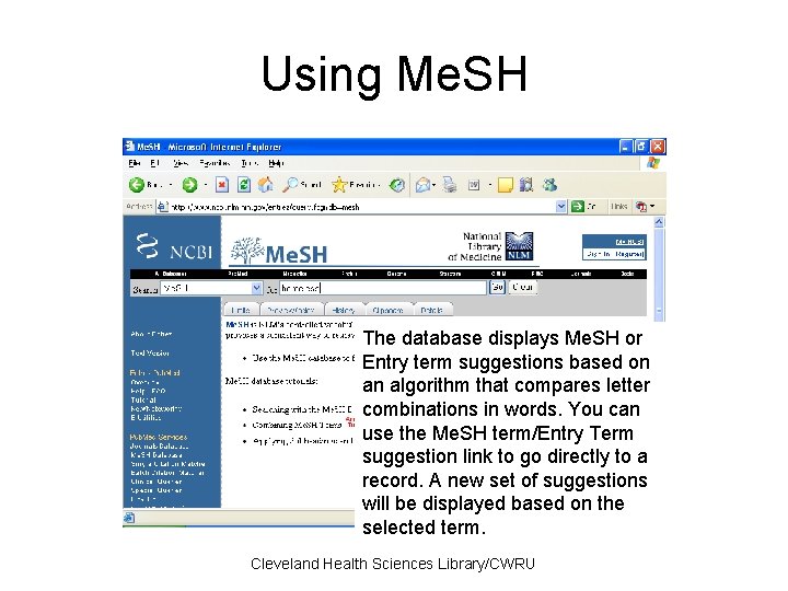 Using Me. SH The database displays Me. SH or Entry term suggestions based on