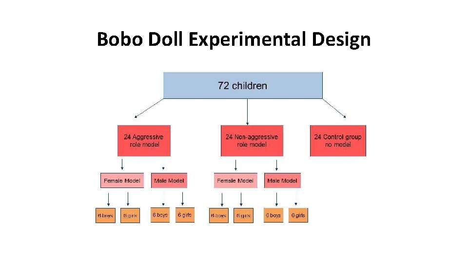 Bobo Doll Experimental Design 