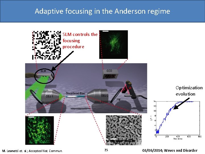 Adaptive focusing in the Anderson regime SLM controls the focusing procedure Optimization evolution M.