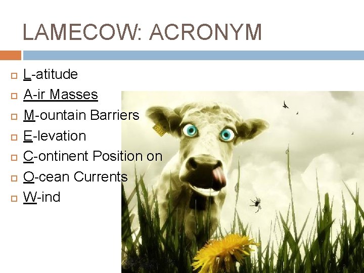LAMECOW: ACRONYM L-atitude A-ir Masses M-ountain Barriers E-levation C-ontinent Position on O-cean Currents W-ind