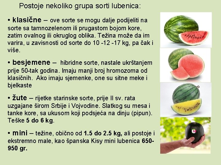 Postoje nekoliko grupa sorti lubenica: • klasične – ove sorte se mogu dalje podijeliti