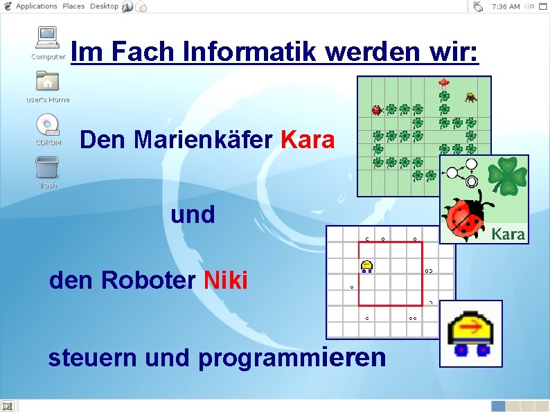 Im Fach Informatik werden wir: Den Marienkäfer Kara und den Roboter Niki steuern und
