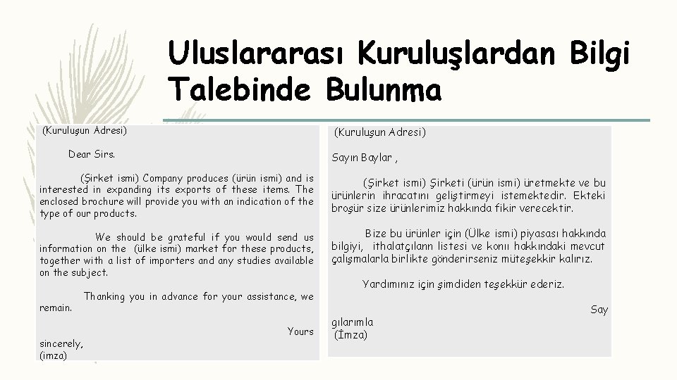 Uluslararası Kuruluşlardan Bilgi Talebinde Bulunma (Kuruluşun Adresi) Dear Sirs. Sayın Baylar , (Şirket ismi)