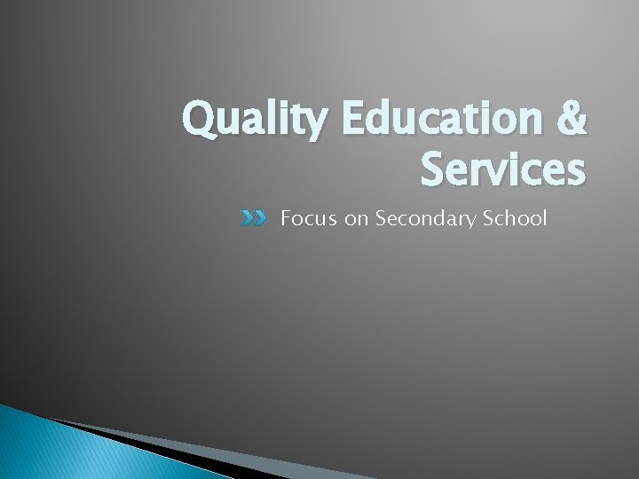 Quality Education & Services Focus on Secondary School 