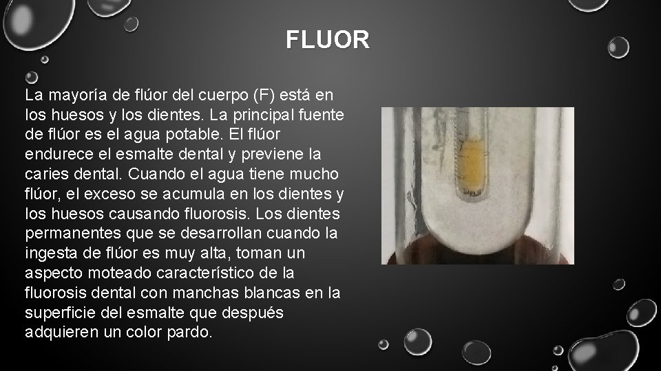 FLUOR La mayoría de flúor del cuerpo (F) está en los huesos y los