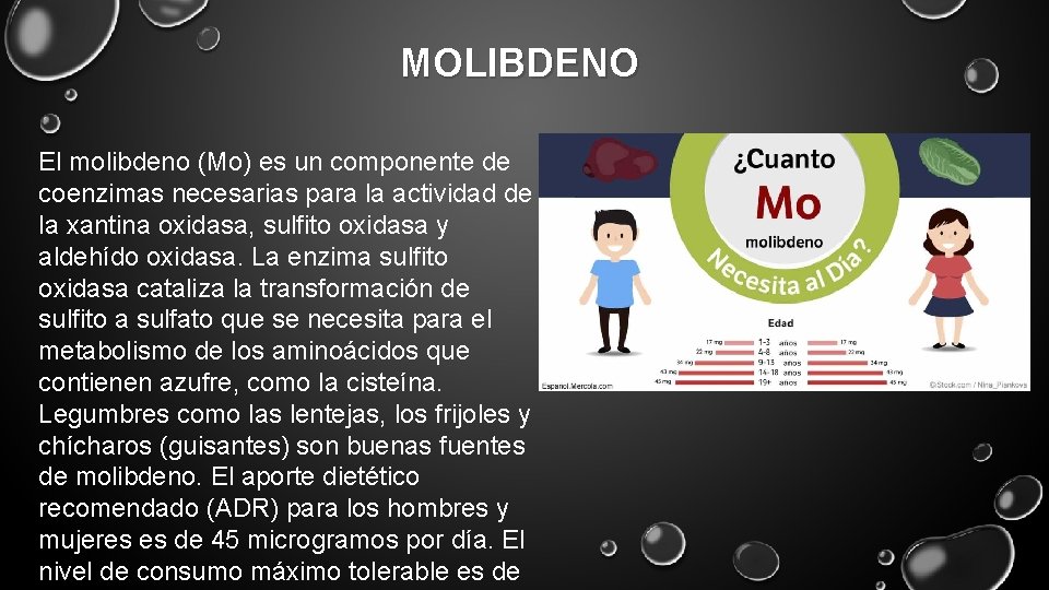 MOLIBDENO El molibdeno (Mo) es un componente de coenzimas necesarias para la actividad de