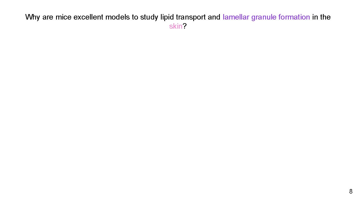 Why are mice excellent models to study lipid transport and lamellar granule formation in