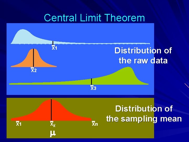 Central Limit Theorem X 1 Distribution of the raw data X 2 X 3