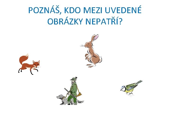 POZNÁŠ, KDO MEZI UVEDENÉ OBRÁZKY NEPATŘÍ? 