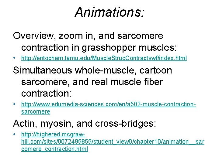 Animations: Overview, zoom in, and sarcomere contraction in grasshopper muscles: • http: //entochem. tamu.