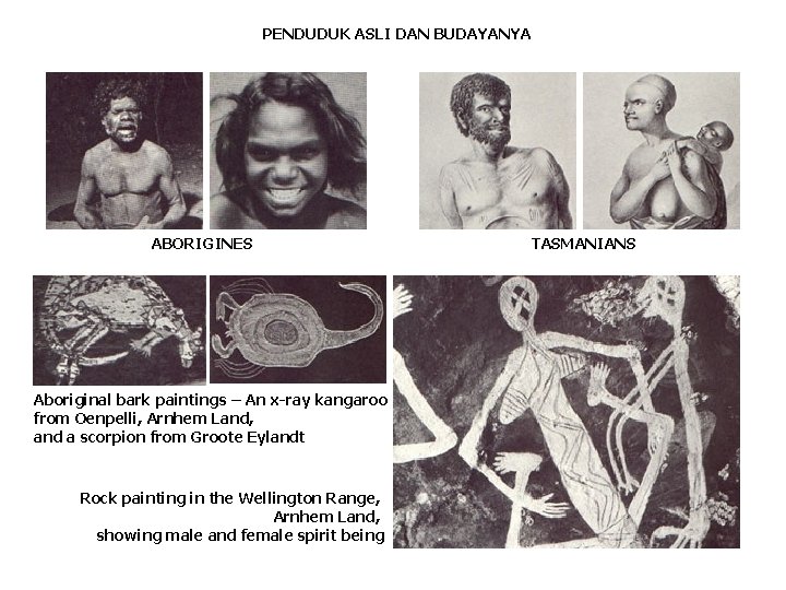 PENDUDUK ASLI DAN BUDAYANYA ABORIGINES Aboriginal bark paintings – An x-ray kangaroo from Oenpelli,