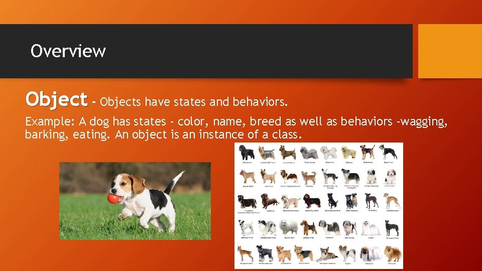 Overview Object - Objects have states and behaviors. Example: A dog has states -