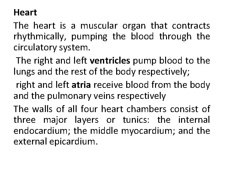 Heart The heart is a muscular organ that contracts rhythmically, pumping the blood through