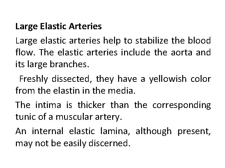 Large Elastic Arteries Large elastic arteries help to stabilize the blood flow. The elastic