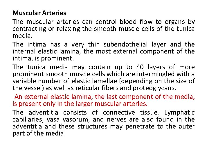 Muscular Arteries The muscular arteries can control blood flow to organs by contracting or