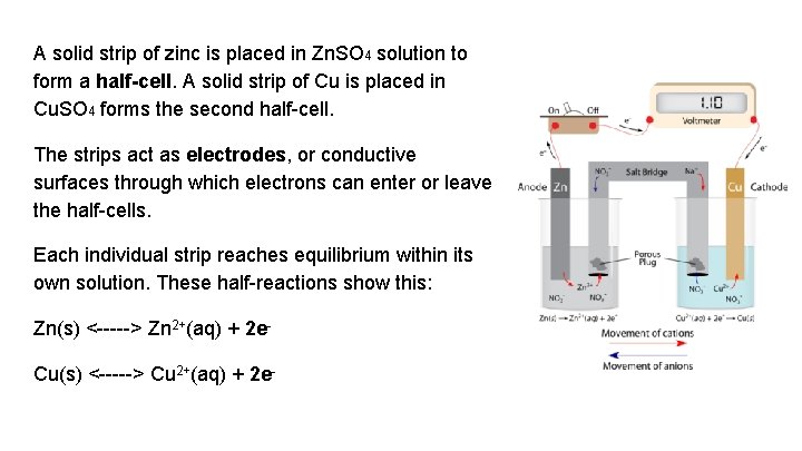 A solid strip of zinc is placed in Zn. SO 4 solution to form