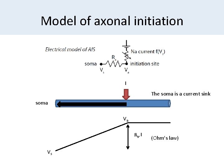 Model of axonal initiation I The soma is a current sink soma Va Ra.