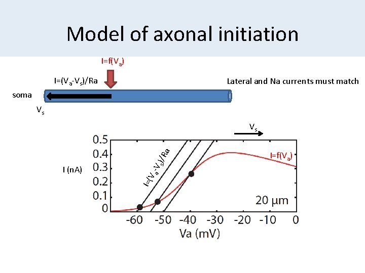 Model of axonal initiation I=f(Va) I=(Va-Vs)/Ra Lateral and Na currents must match soma Vs