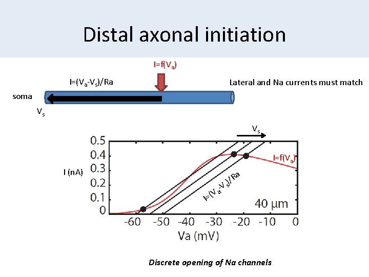 Distal axonal initiation I=f(Va) I=(Va-Vs)/Ra Lateral and Na currents must match soma Vs Vs