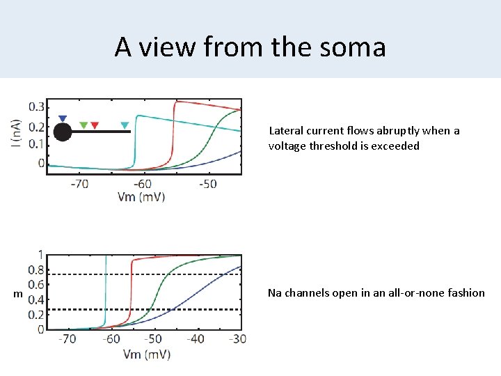 A view from the soma Lateral current flows abruptly when a voltage threshold is