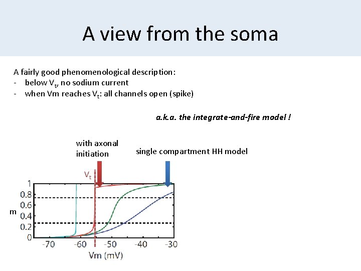 A view from the soma A fairly good phenomenological description: - below Vt, no