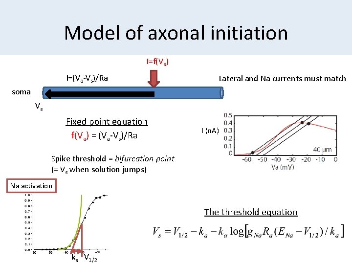 Model of axonal initiation I=f(Va) I=(Va-Vs)/Ra Lateral and Na currents must match soma Vs