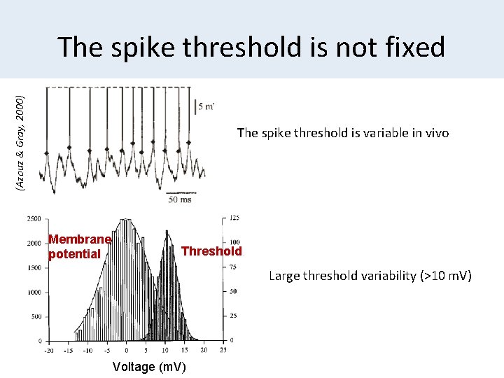 (Azouz & Gray, 2000) The spike threshold is not fixed The spike threshold is