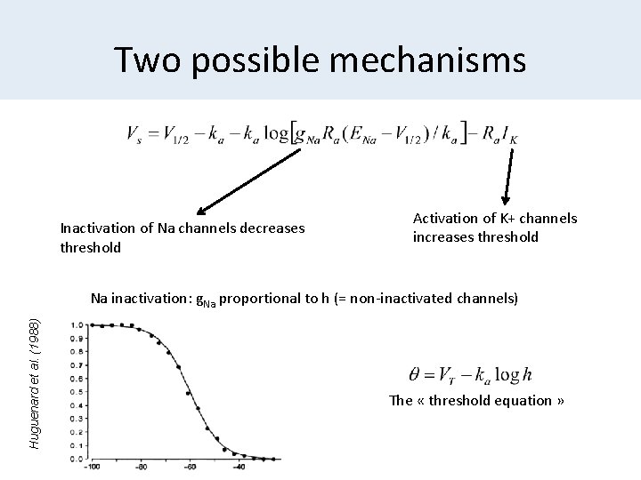 Two possible mechanisms Inactivation of Na channels decreases threshold Activation of K+ channels increases