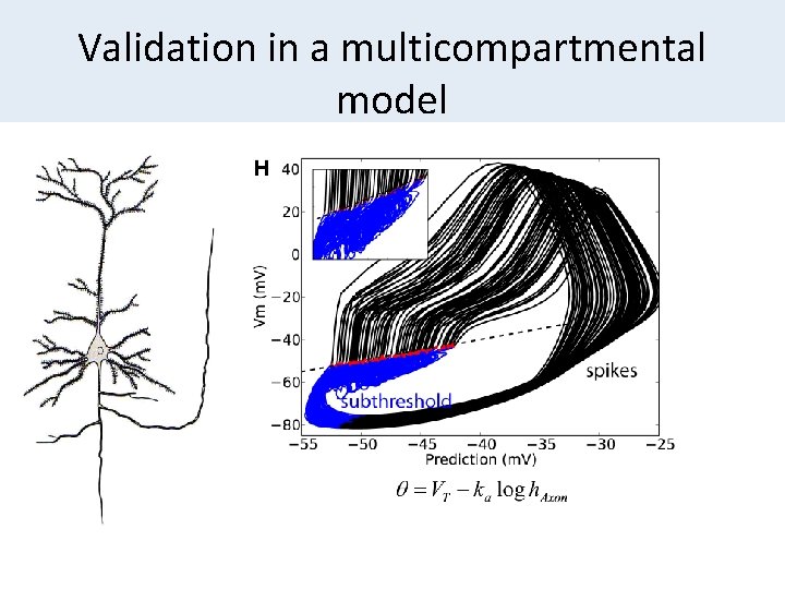 Validation in a multicompartmental model 