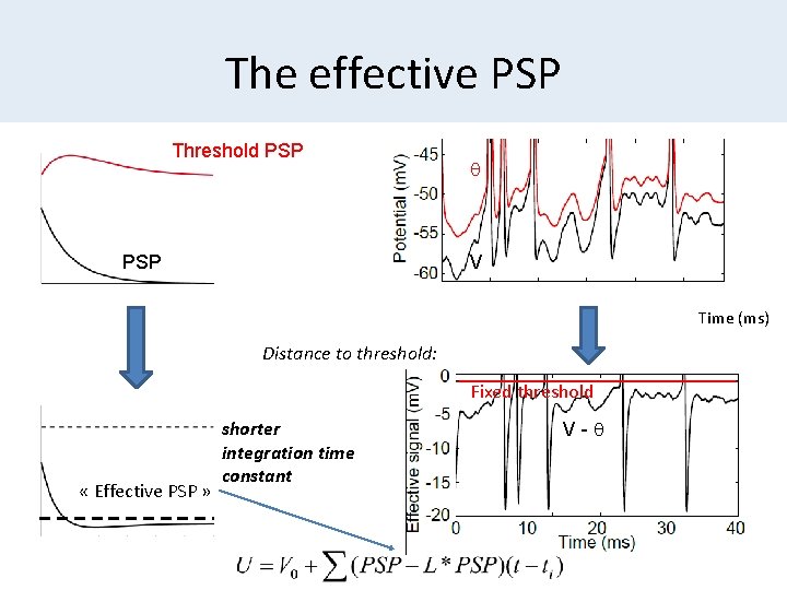 The effective PSP Threshold PSP q V Time (ms) Distance to threshold: Fixed threshold