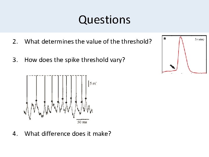 Questions 2. What determines the value of the threshold? 3. How does the spike