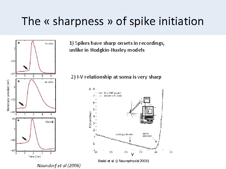 The « sharpness » of spike initiation 1) Spikes have sharp onsets in recordings,