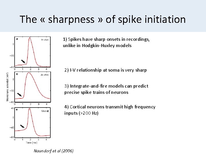 The « sharpness » of spike initiation 1) Spikes have sharp onsets in recordings,