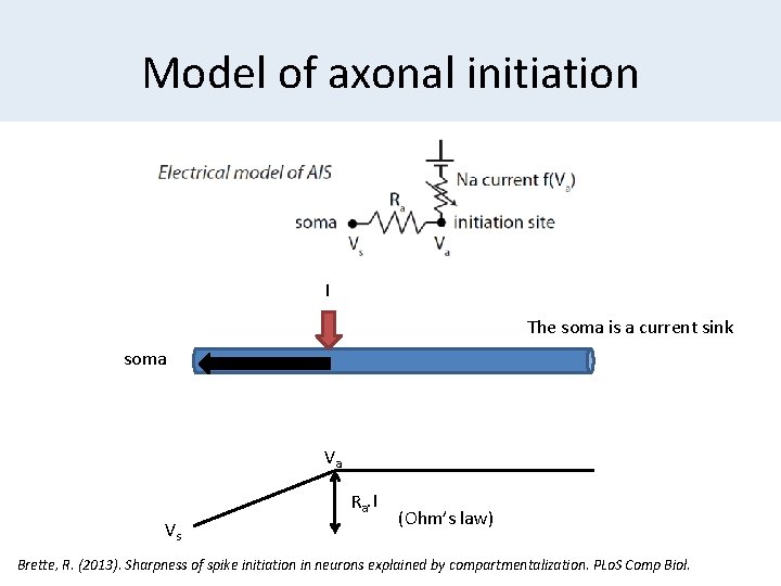 Model of axonal initiation I The soma is a current sink soma Va Ra.