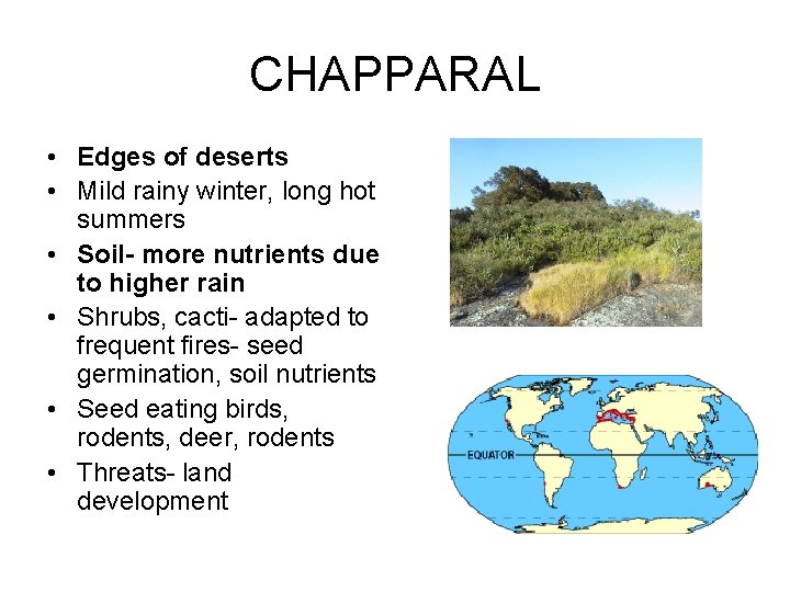 CHAPPARAL • Edges of deserts • Mild rainy winter, long hot summers • Soil-