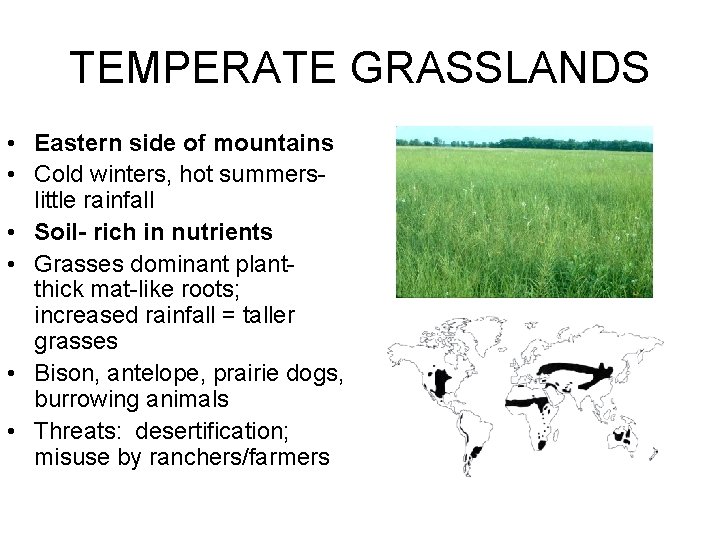 TEMPERATE GRASSLANDS • Eastern side of mountains • Cold winters, hot summerslittle rainfall •