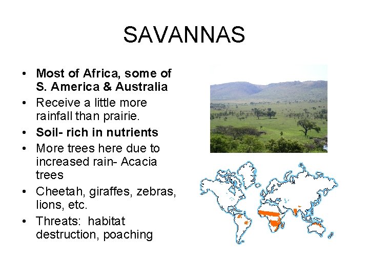 SAVANNAS • Most of Africa, some of S. America & Australia • Receive a