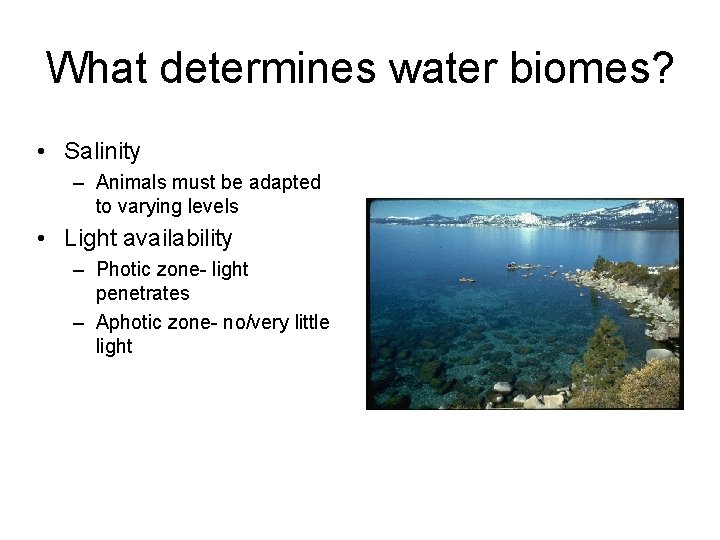 What determines water biomes? • Salinity – Animals must be adapted to varying levels